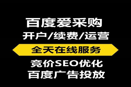 实战解析：百度竞价排名服务成功案例